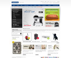 企業(yè)網(wǎng)站設計 從藍圖到精品，構建數(shù)字時代的品牌門戶